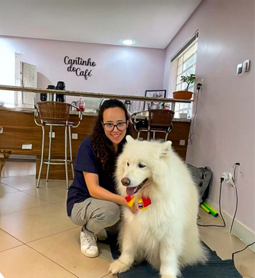 Cachorro recebendo cuidado veterinário
